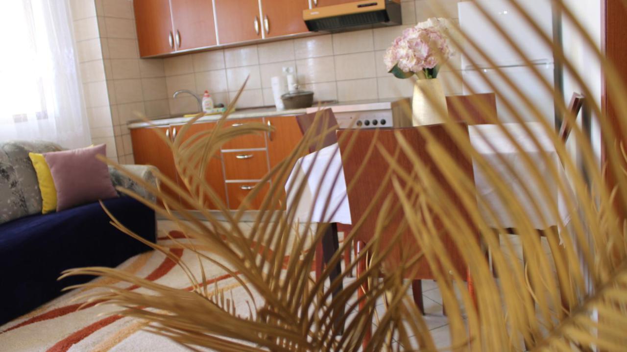 Bledi'S Cozy Apartment In New Blvd Tiran Dış mekan fotoğraf